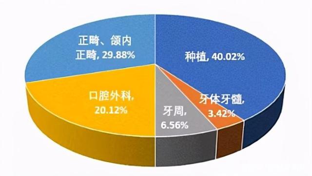 口腔医疗结构 口腔医疗结构