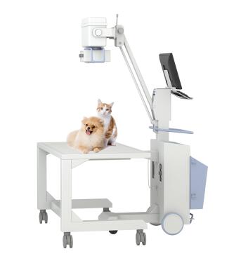 宠物dr 宠物dr